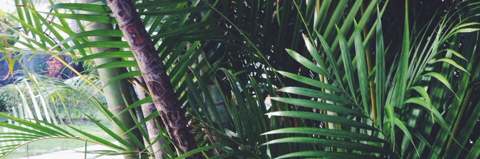 Kpapi_'s profile banner image