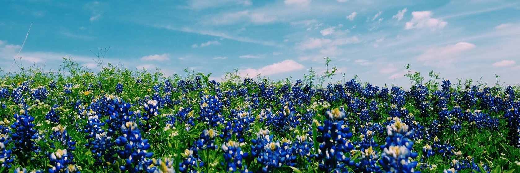 tex_morgan's profile banner image