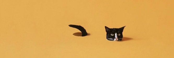 a_weezzyy's profile banner image