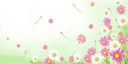 Follow__Maria's profile banner image