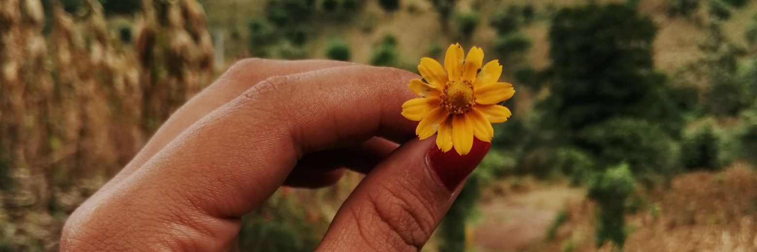 LachinisSalsera's profile banner image