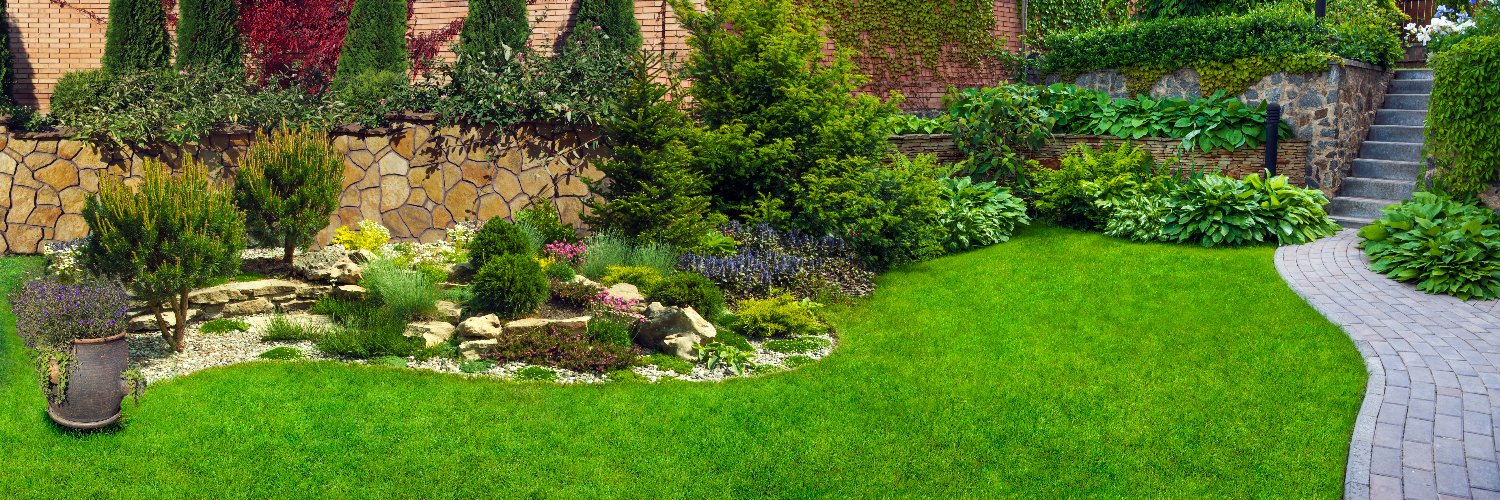 Backyard Boss banner