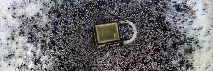 ابو تميم banner