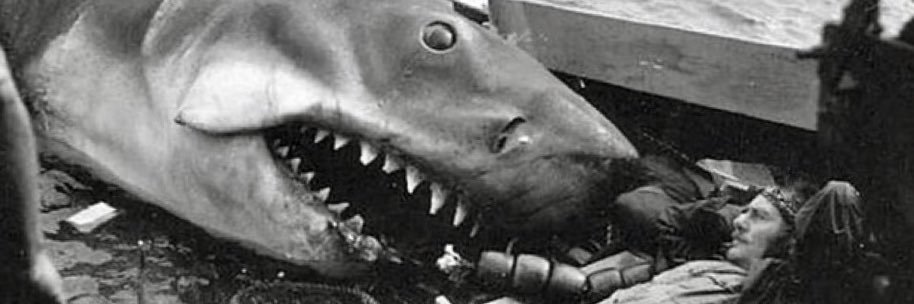 Vacationland🐘🦏🐋 banner