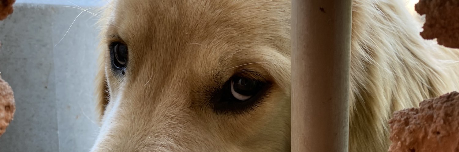 oigrandi's profile banner image
