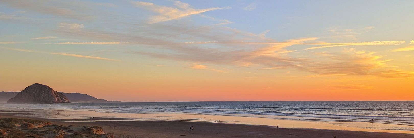 Greg Wallinger banner