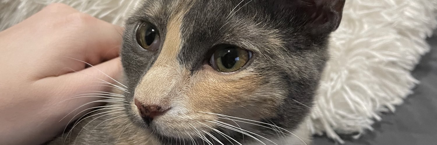 annnay_'s profile banner image