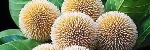 Amirul514's profile banner image
