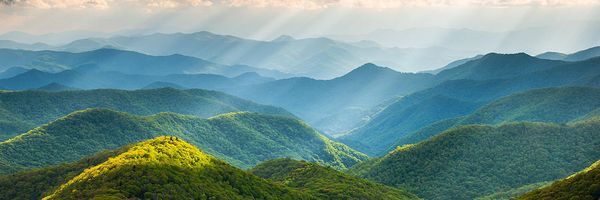 cruiseecho Profile Banner