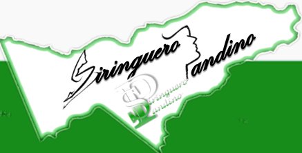 SiringueroP's profile banner image