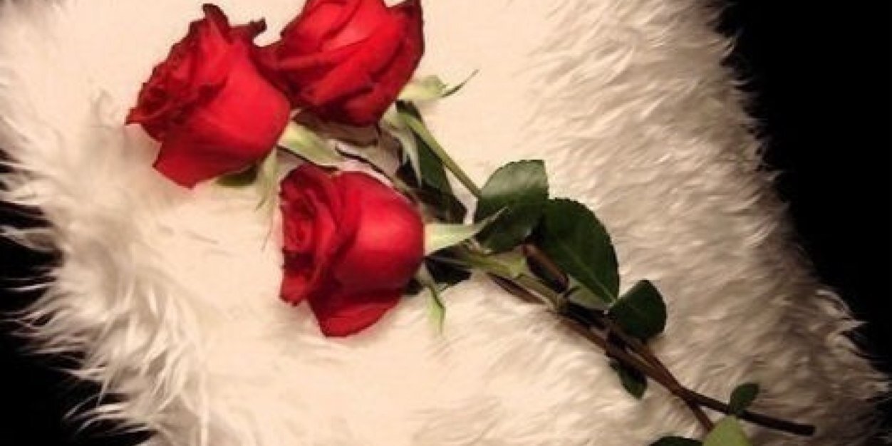 MissRose686's profile banner image