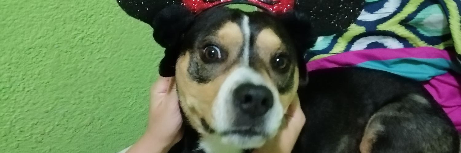 adricas98's profile banner image