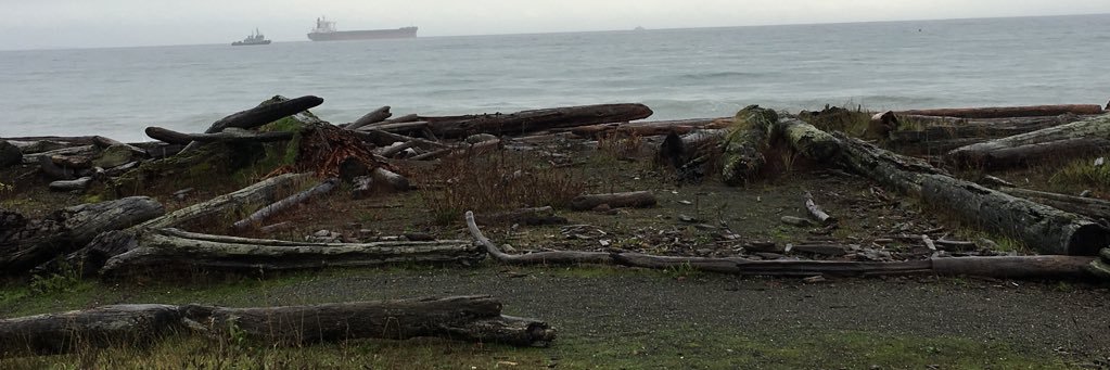 LDcolwood's profile banner image