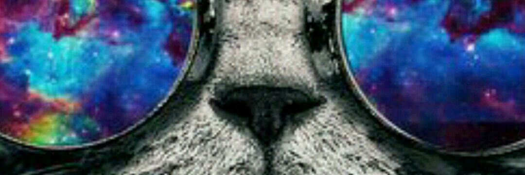 ramirez_arnold's profile banner image