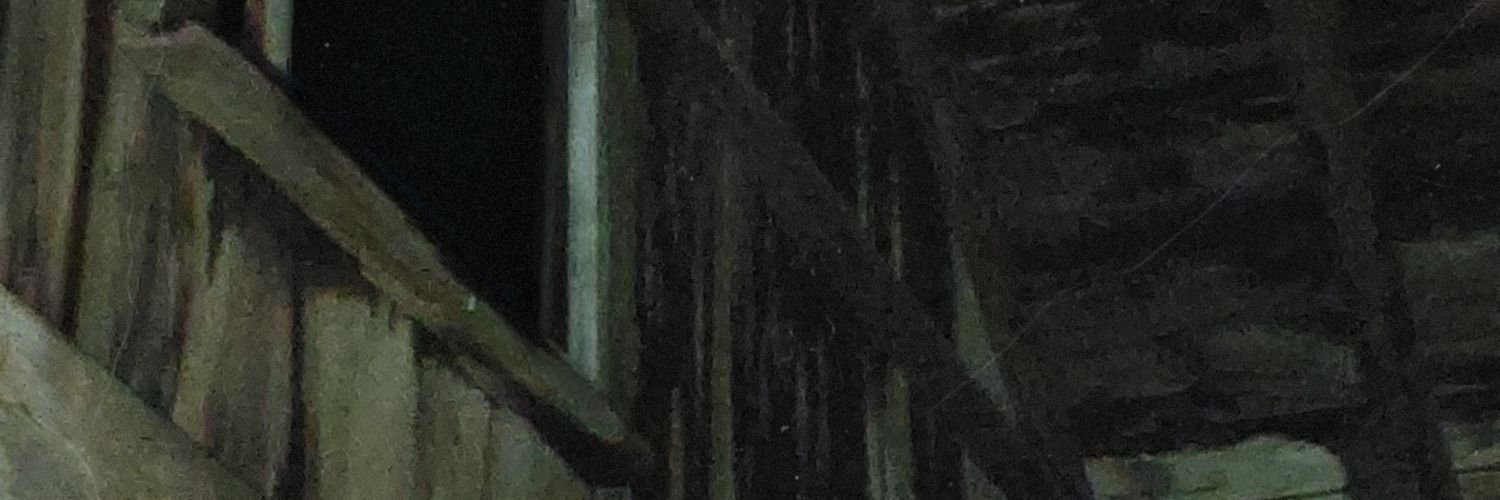 necromerchants's profile banner image