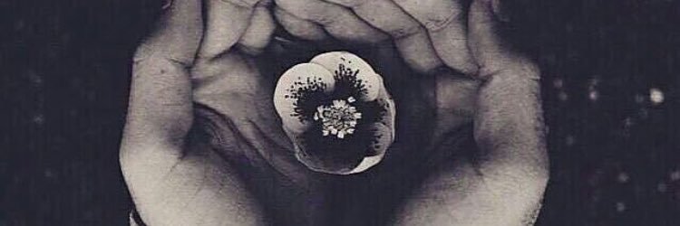 Dr.Faten Mojalled banner