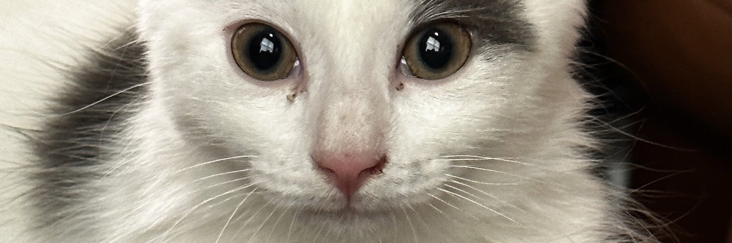 maxwelljamesred's profile banner image