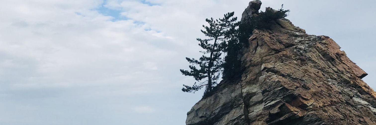 redsunshine25's profile banner image