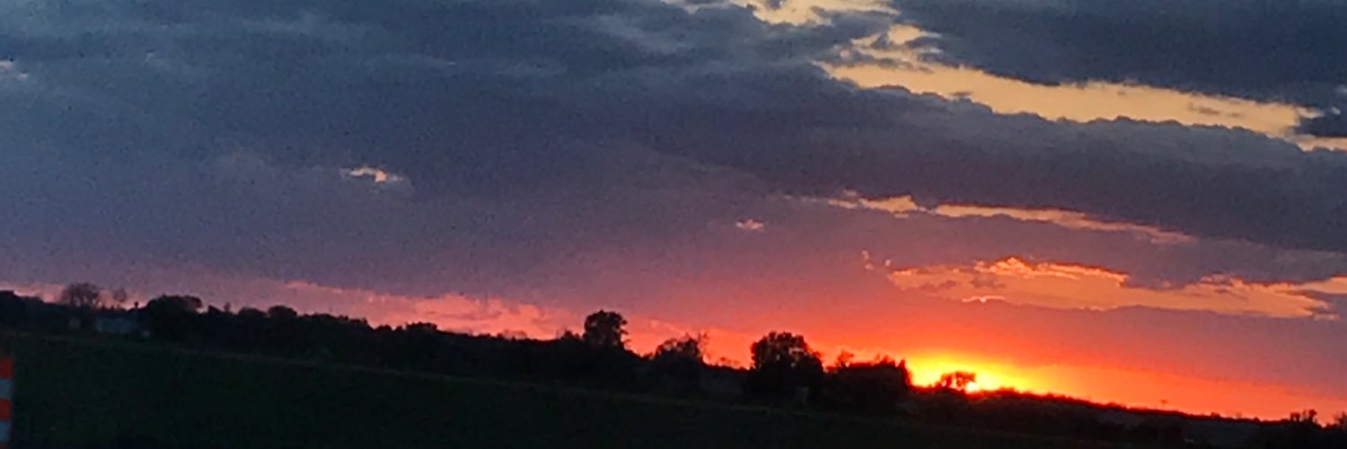 amandazigs's profile banner image