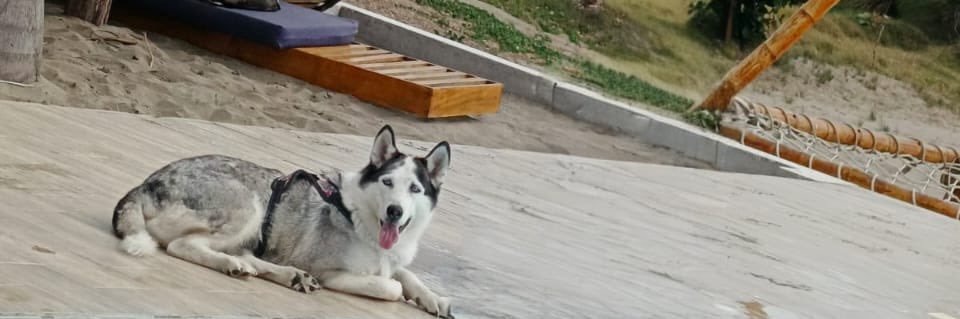 marytorresh22's profile banner image