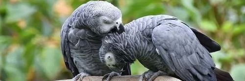 Joseph LANDRY banner