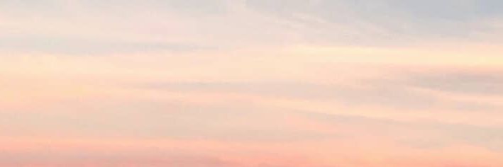 VSCOprincess's profile banner image