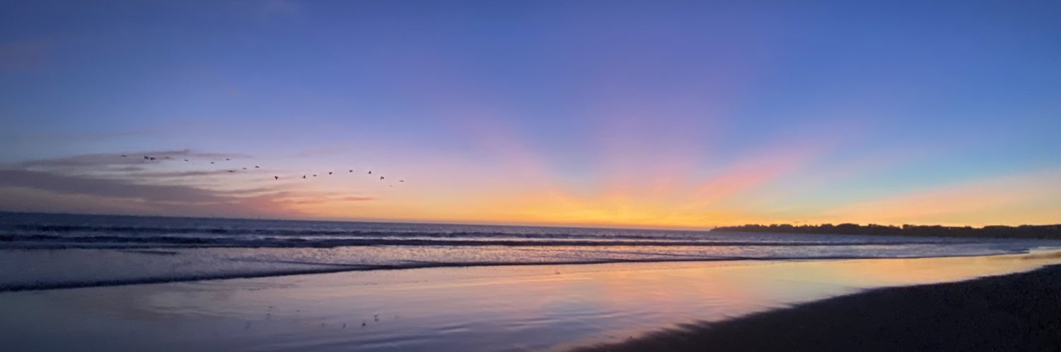 CaroltheDog's profile banner image