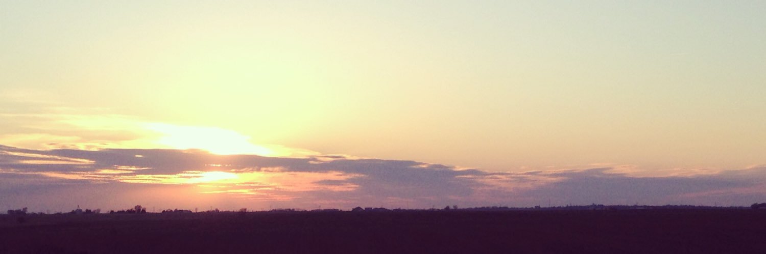 Bird1493's profile banner image