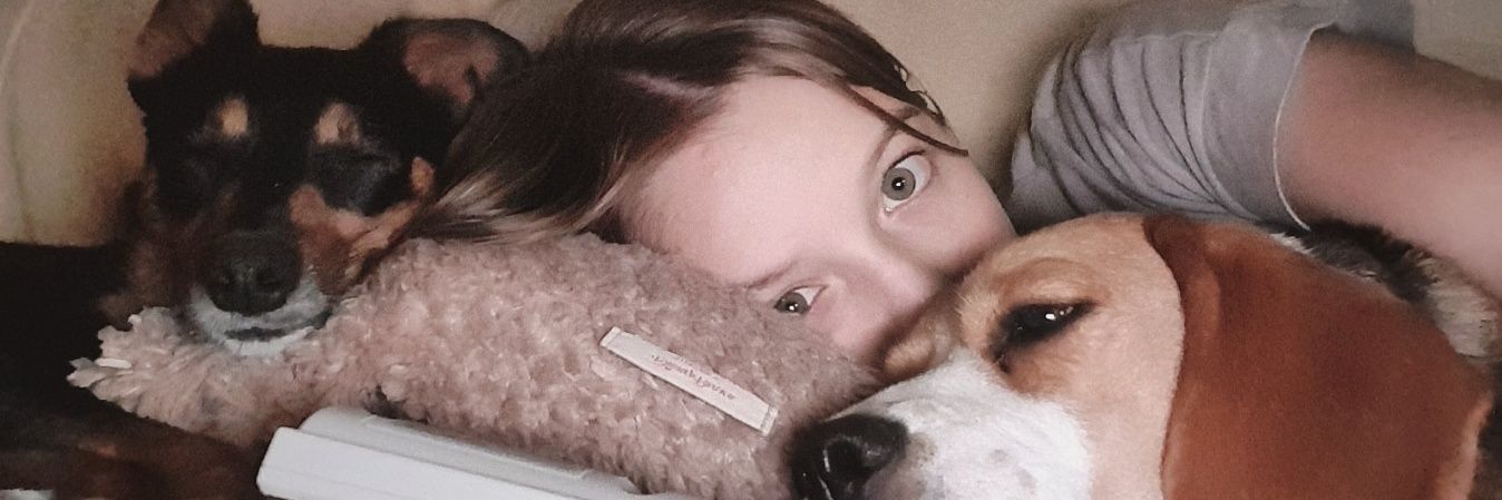 mschmidtc's profile banner image