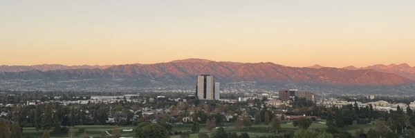 colapeach Profile Banner