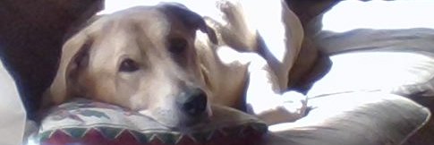 Janetzhere's profile banner image