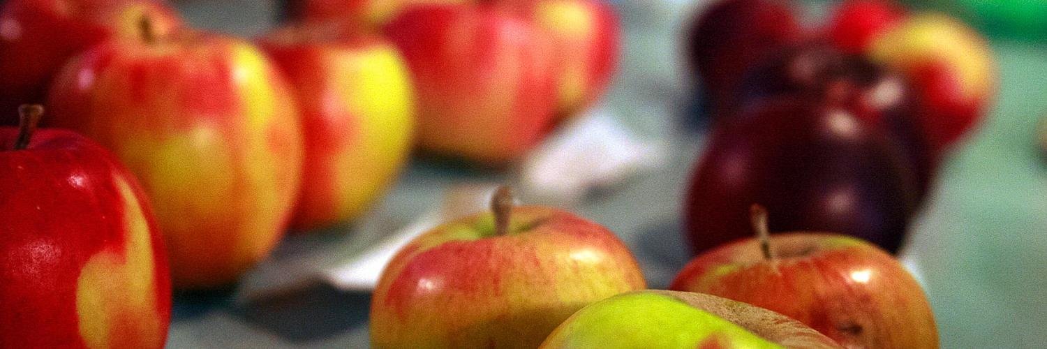 Whitewood Cider Co. banner