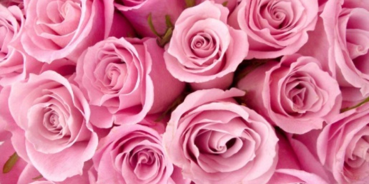 aislingwinders's profile banner image