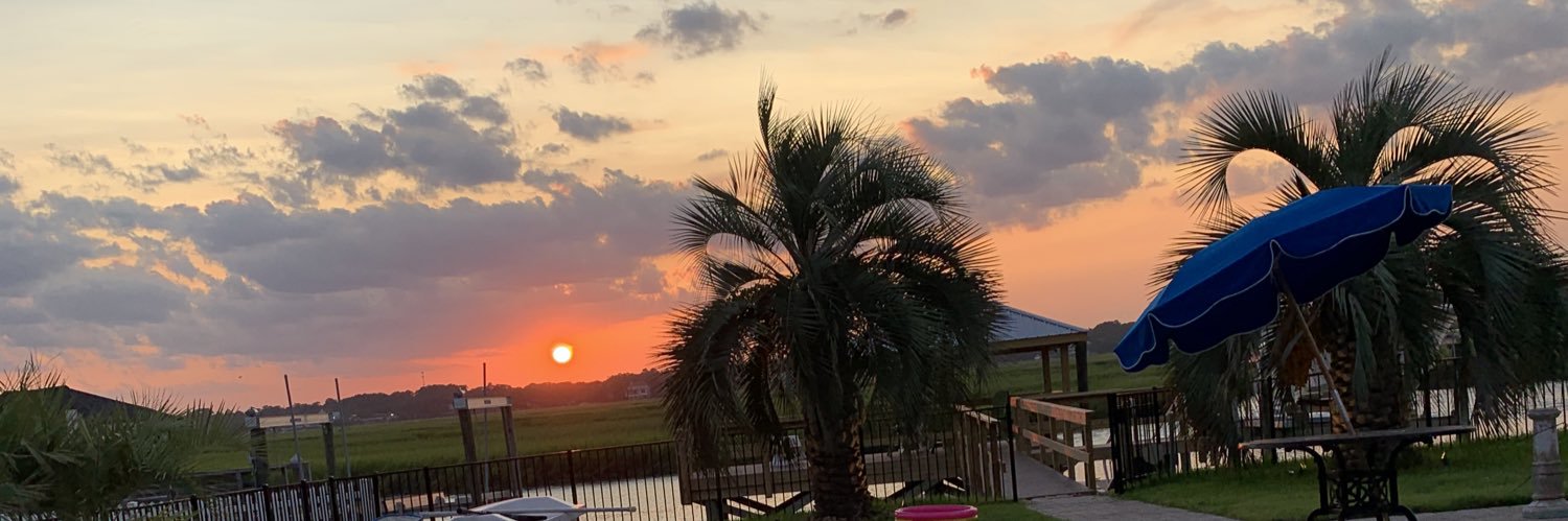 maddyrosey's profile banner image