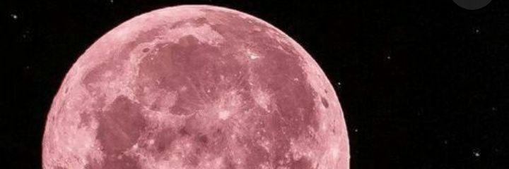 Maaaaguui's profile banner image