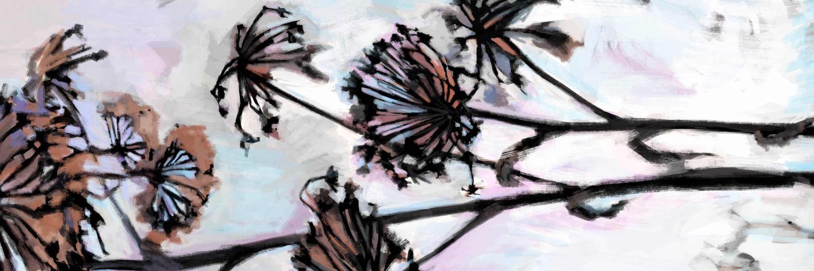 TomPushkina banner