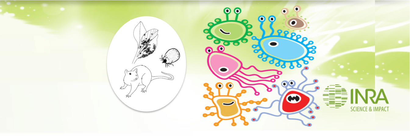 gr_pathobiome's profile banner image
