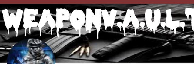 WeaponVault's profile banner image