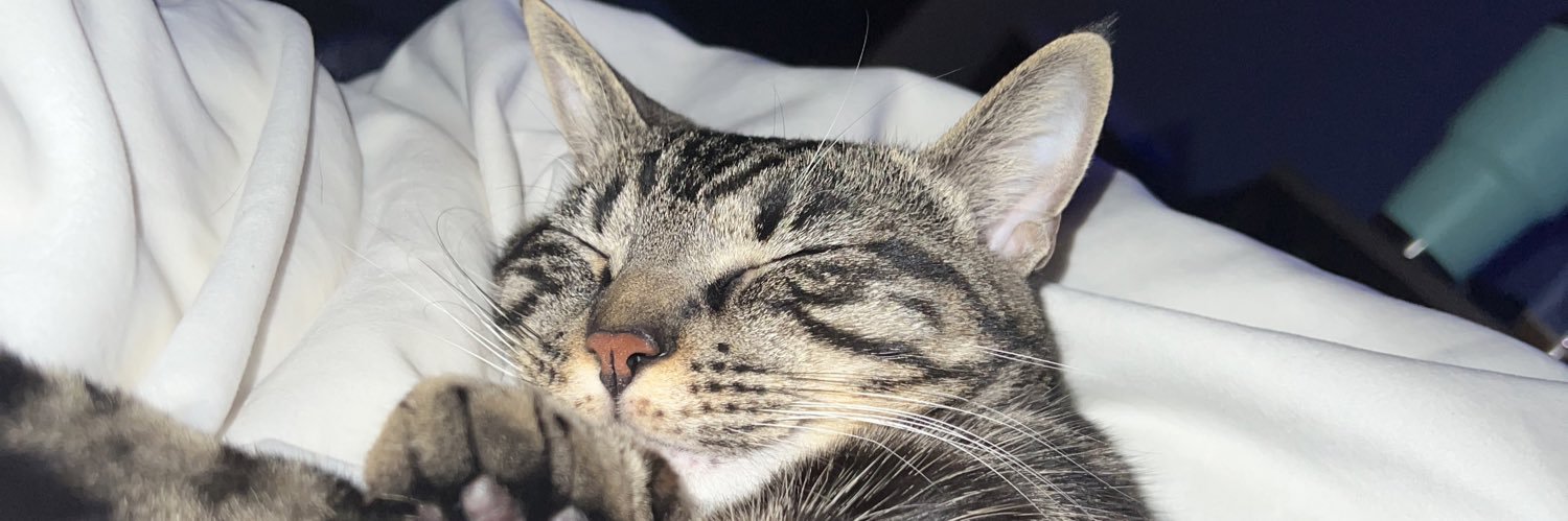 LindseyBugosh's profile banner image