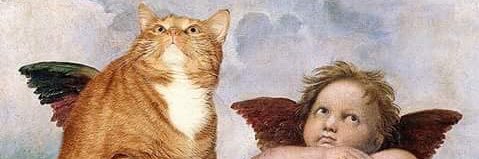 itsmeveg's profile banner image