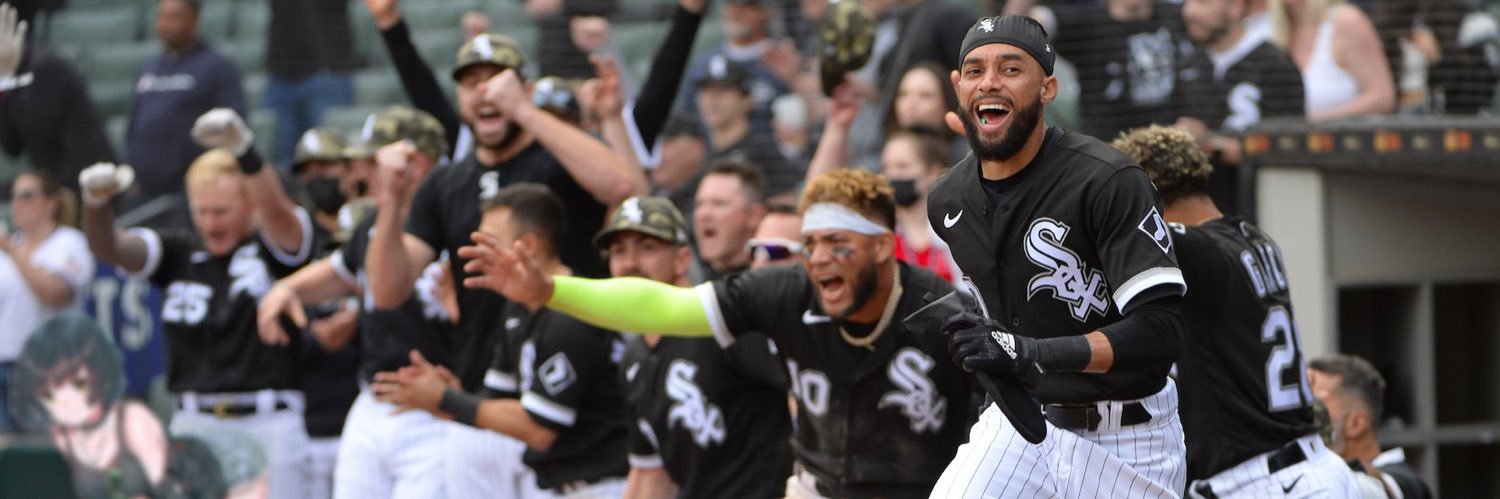 sox banner