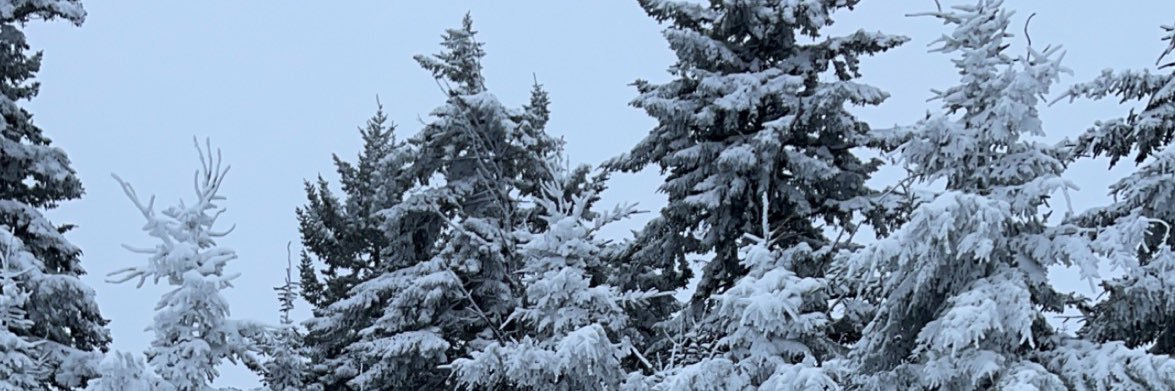 abbyjames121's profile banner image
