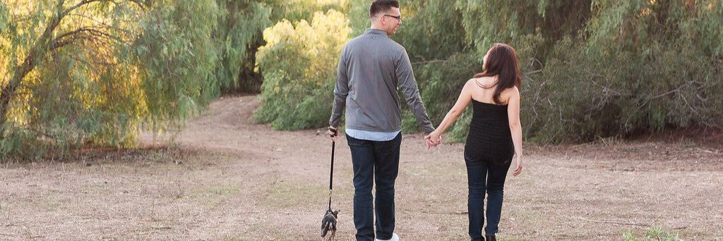 Brian Whitehead banner