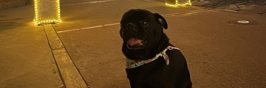 RuizHeidi's profile banner image