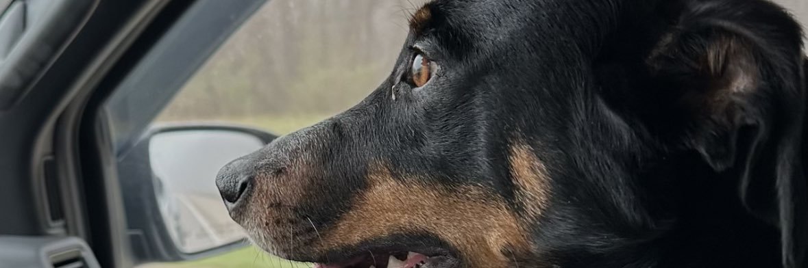 JimboWV's profile banner image