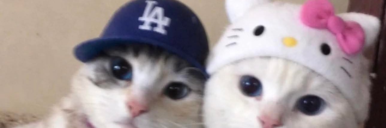 jayson tatum fan club banner