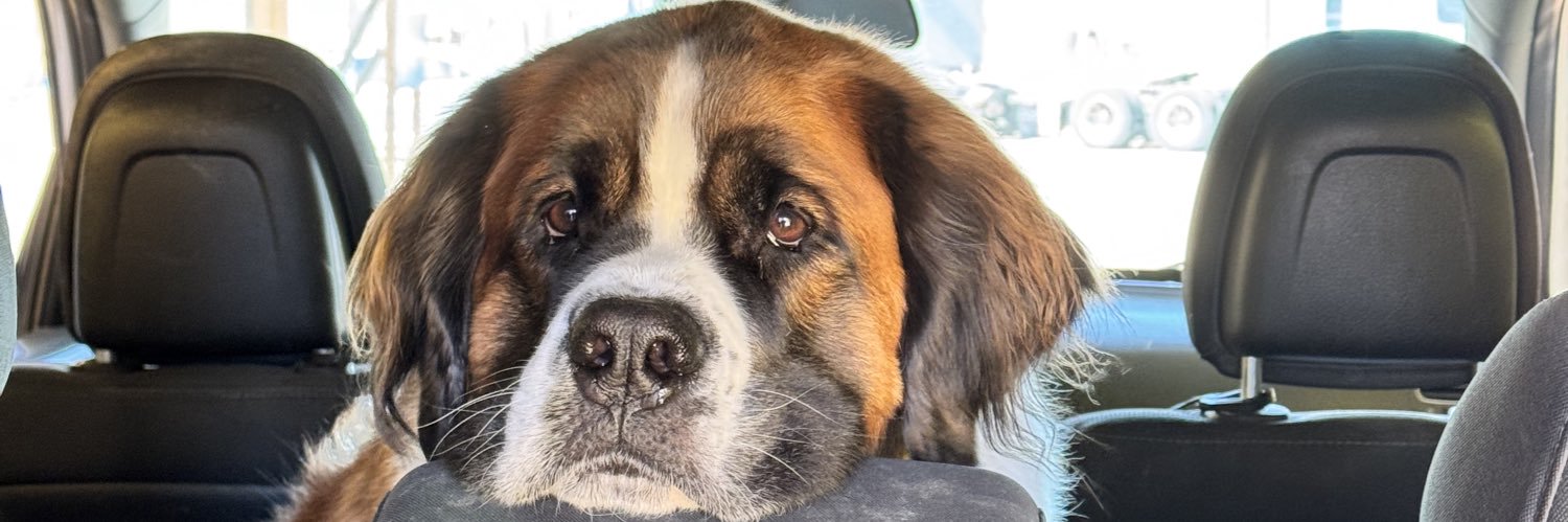 GustafsonMaddy's profile banner image