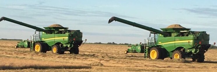 Matthew Lowry banner