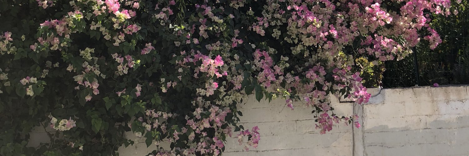 Emily Vartanian banner