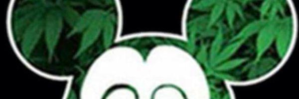 saltysteee_'s profile banner image